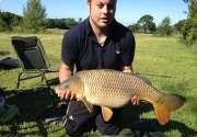 22lb carp